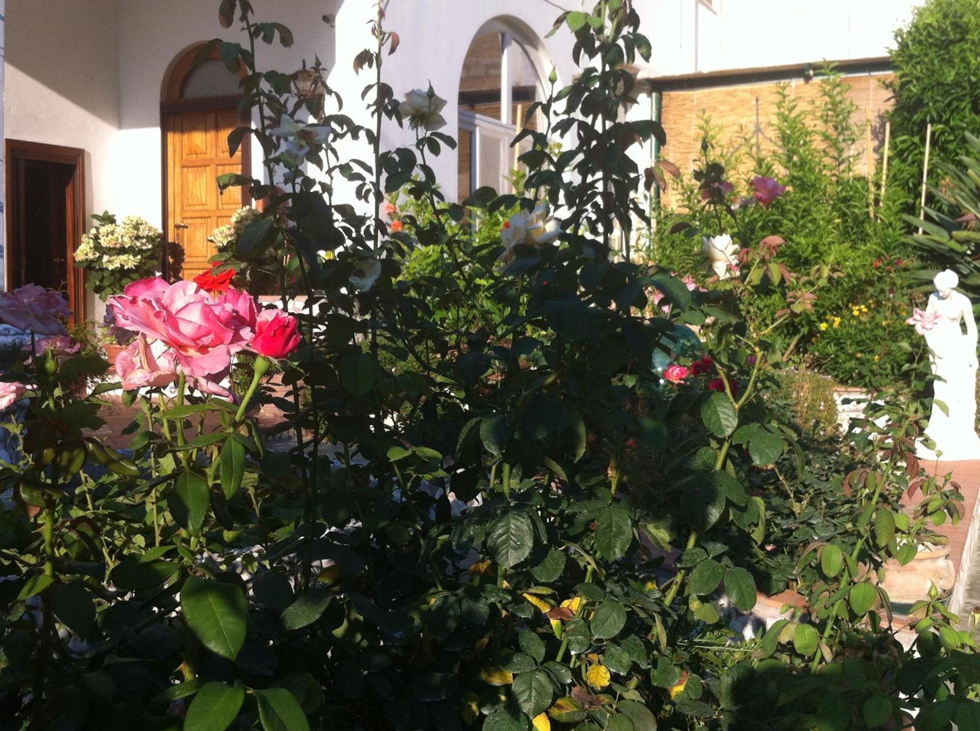 B&B Palazzo A Mare Capri Zewnętrze zdjęcie