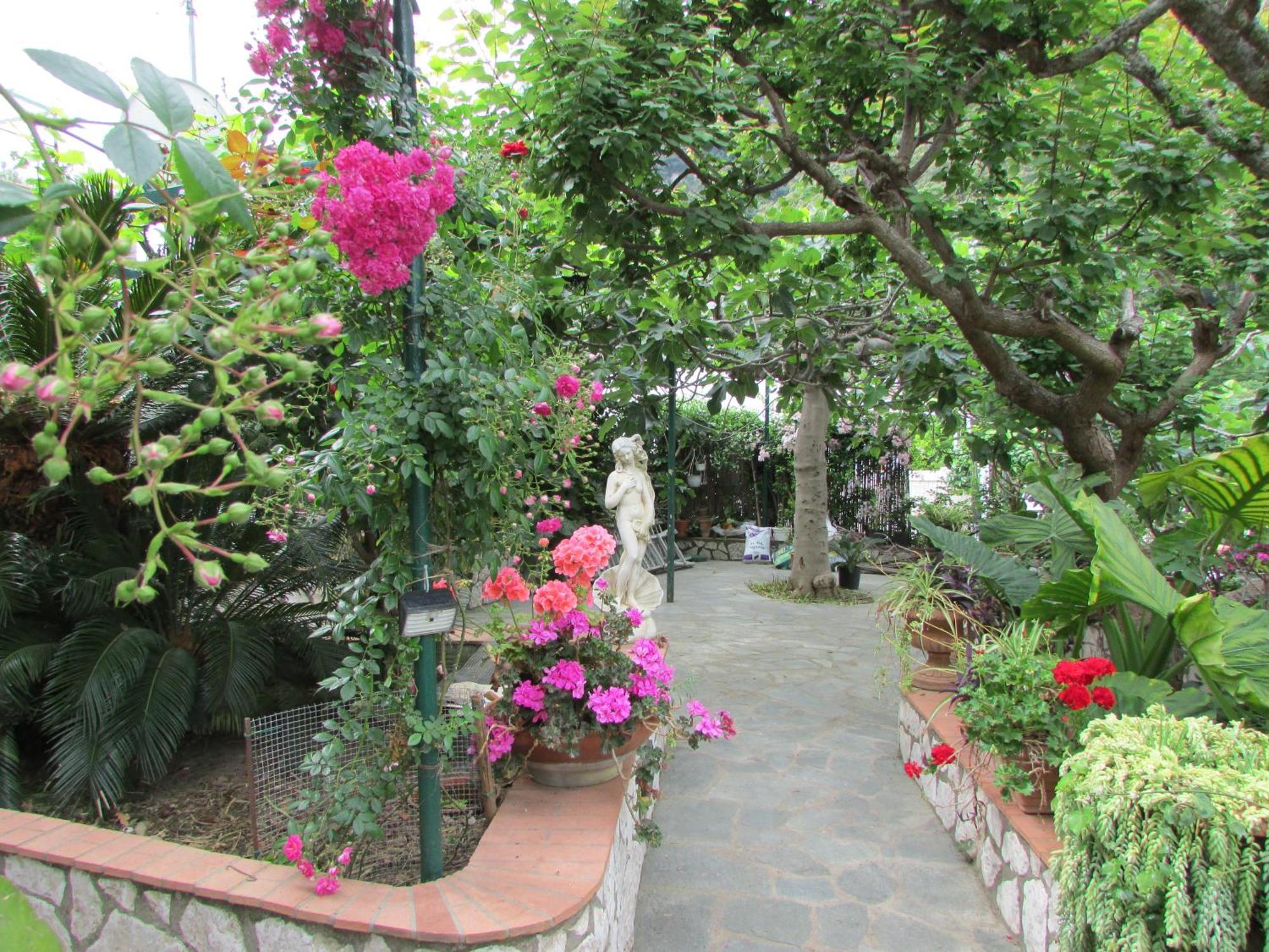 B&B Palazzo A Mare Capri Zewnętrze zdjęcie