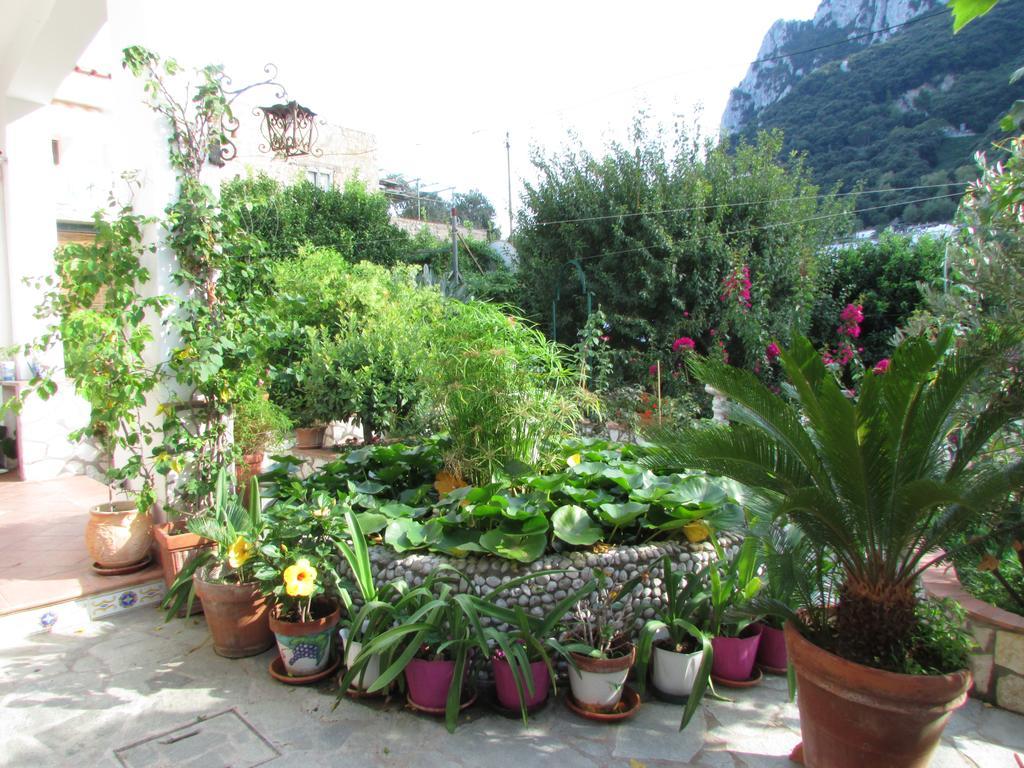 B&B Palazzo A Mare Capri Zewnętrze zdjęcie