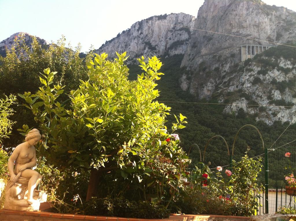 B&B Palazzo A Mare Capri Zewnętrze zdjęcie
