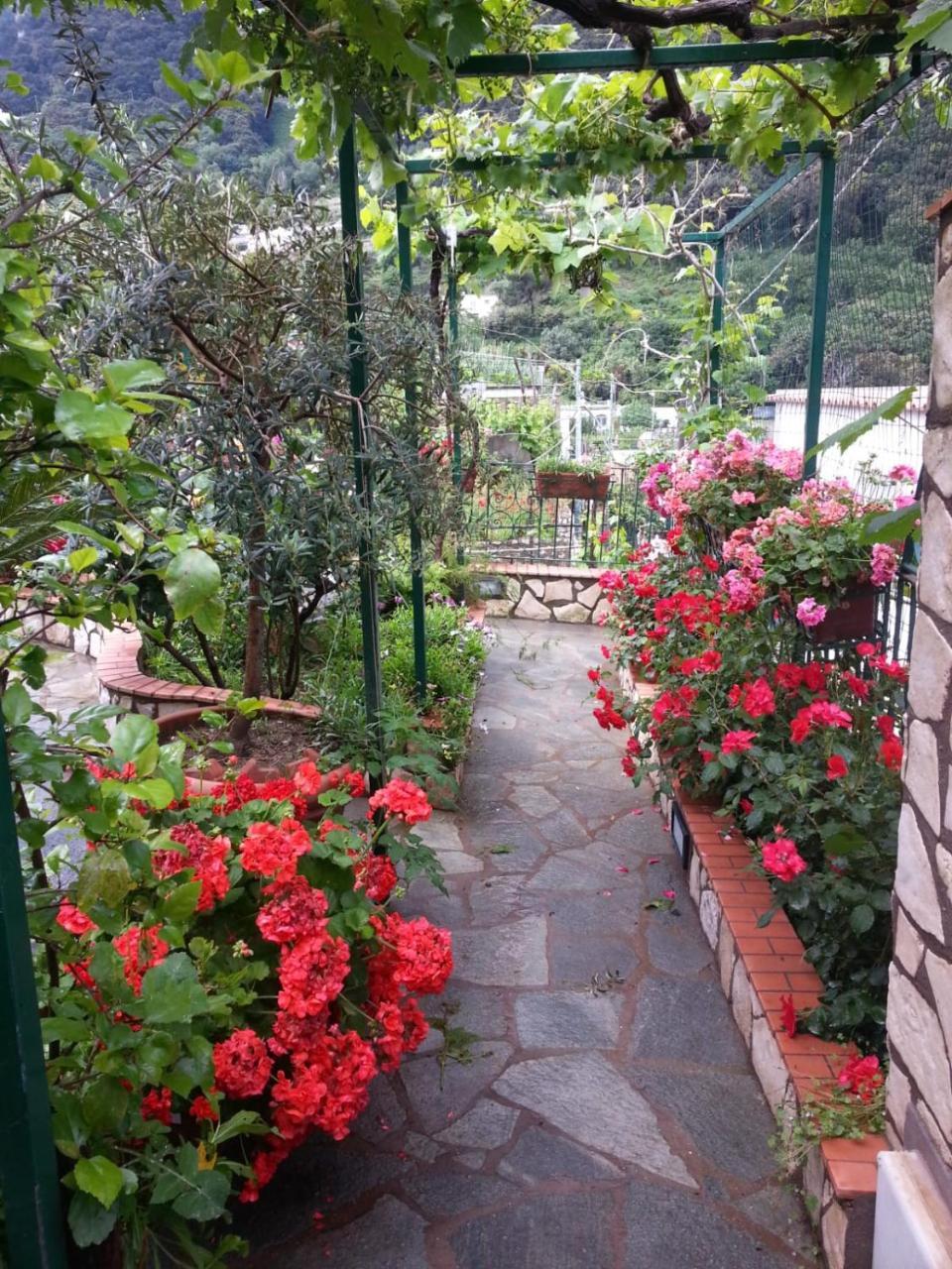 B&B Palazzo A Mare Capri Zewnętrze zdjęcie